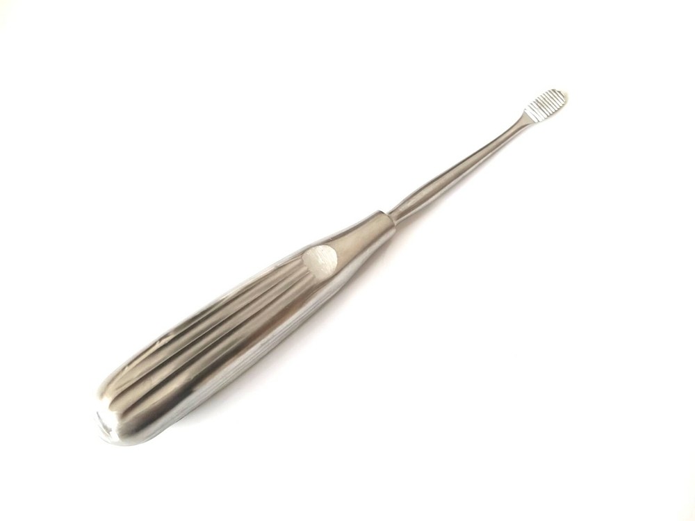 Molar Rasp Veterinary Dental Instruments
