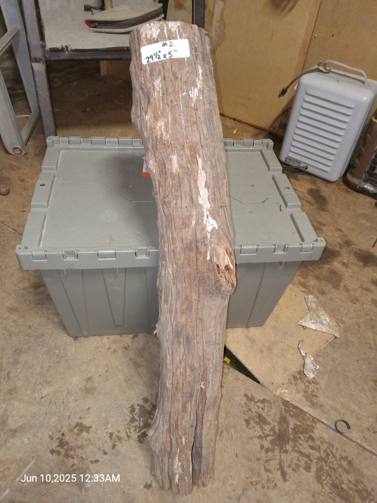 125 Year Old Ax Cut Fense Post