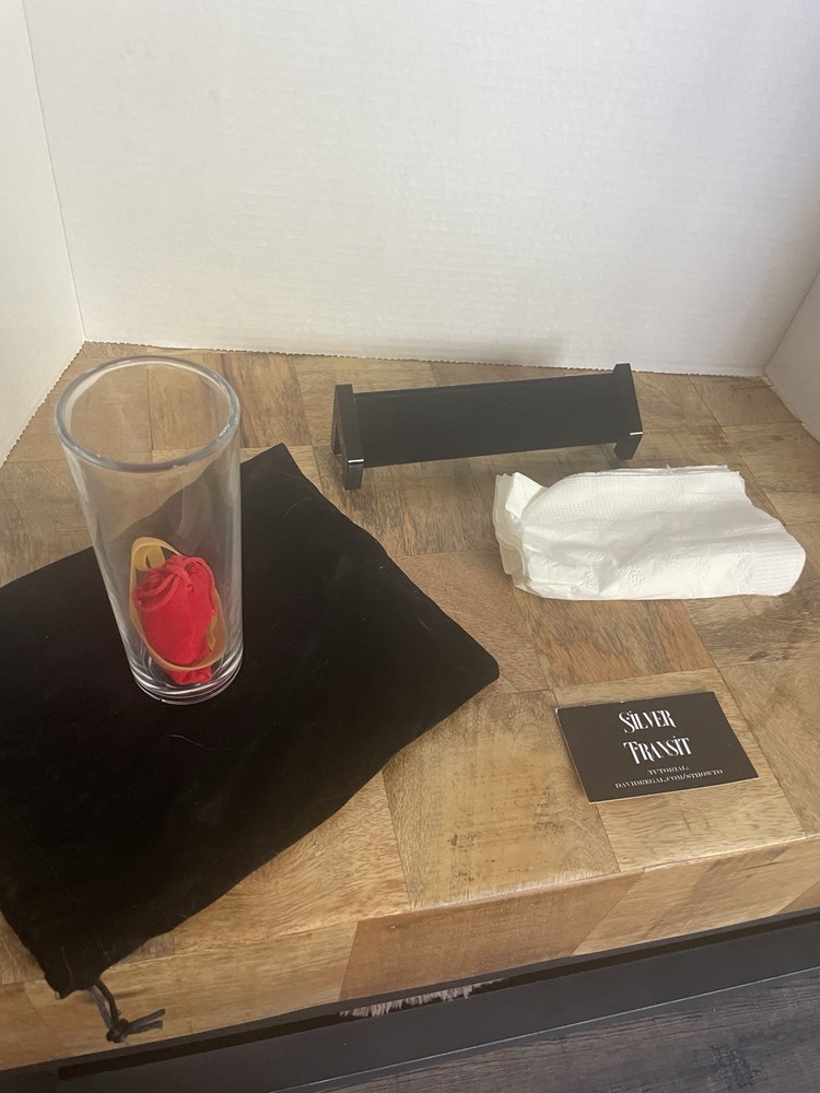 Silver transit By David Regal