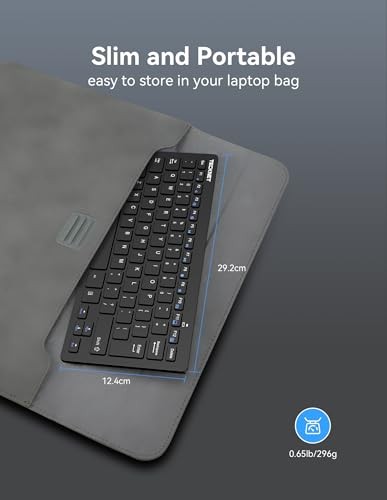 Wireless Keyboard and Mouse Combo, Mini Cordless Computer Keyboard and Black