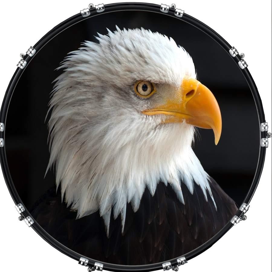 Custom 22" Kick Bass Drum Head Graphical Image Front Skin Bald Eagle 2