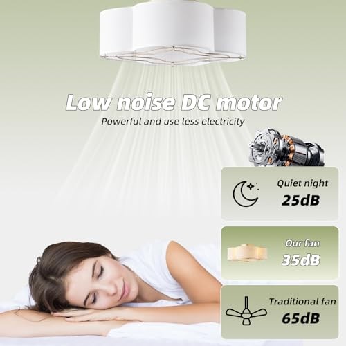 Caged Ceiling Fan with Light, Boho Flush Mount Ceiling Fan with Lights White