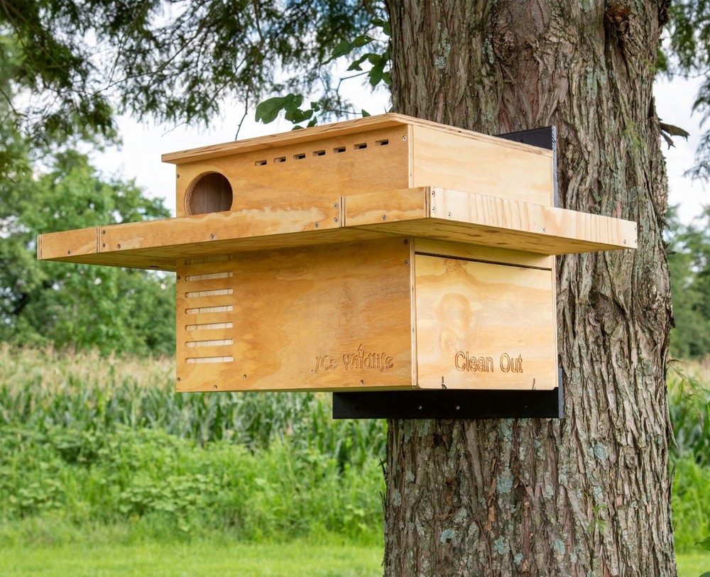 JCS Wildlife 3 Sided Platform Barn Owl Nesting Box