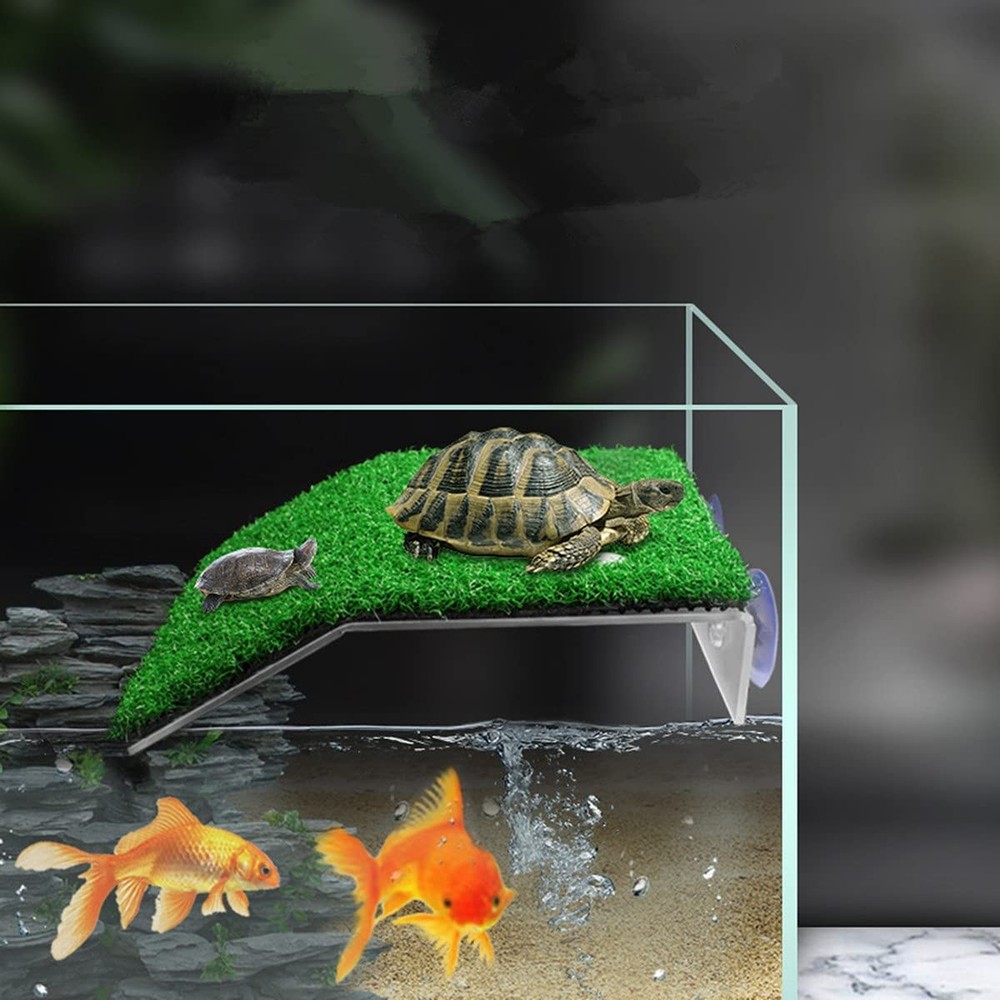Lawn Turtle Basking Platform Turtle Resting Basking Platform, Simulation4358