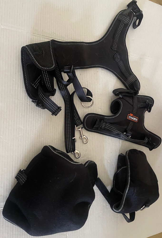 Dog Hip Support Brace