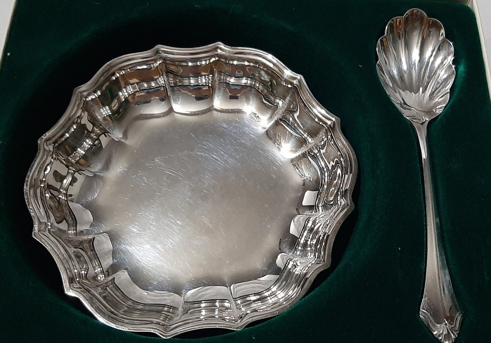 Oneida Silverplate Hostess Server & Spoon in box