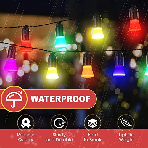 25 Pcs Christmas 2W LED Light Bulbs Replacement for Outdoor String Multi Color