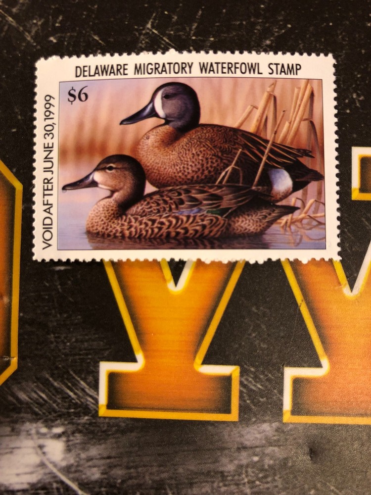 1998 Delaware State Duck Stamp