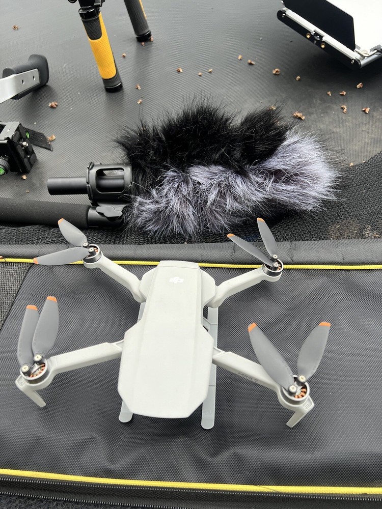 Professional filming gear.