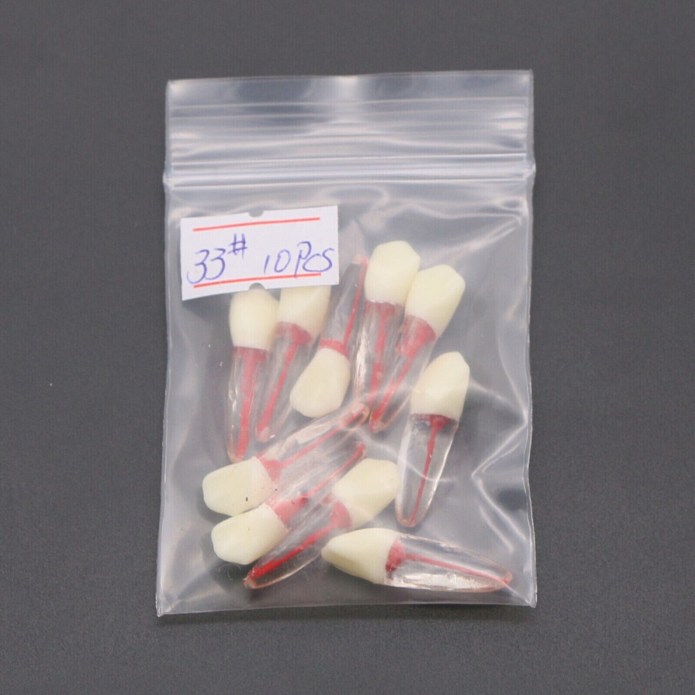 10 Pcs Dental Autoclavable Endo Root Canal Teeth Model Study Practice Typodont