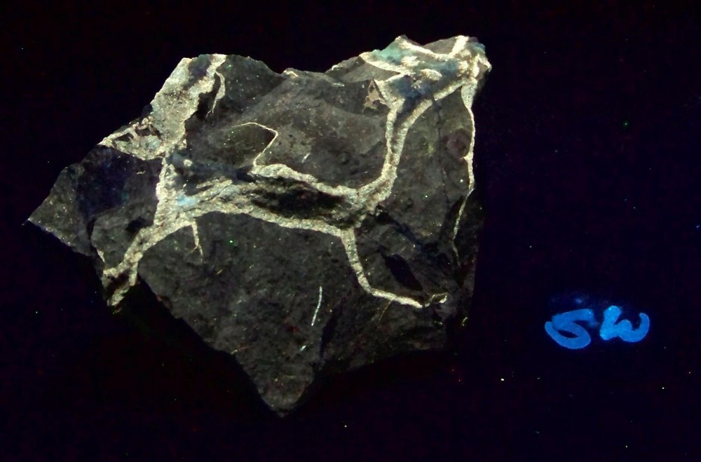Fluorescent Septarian Nodule Specimen from Madagascar