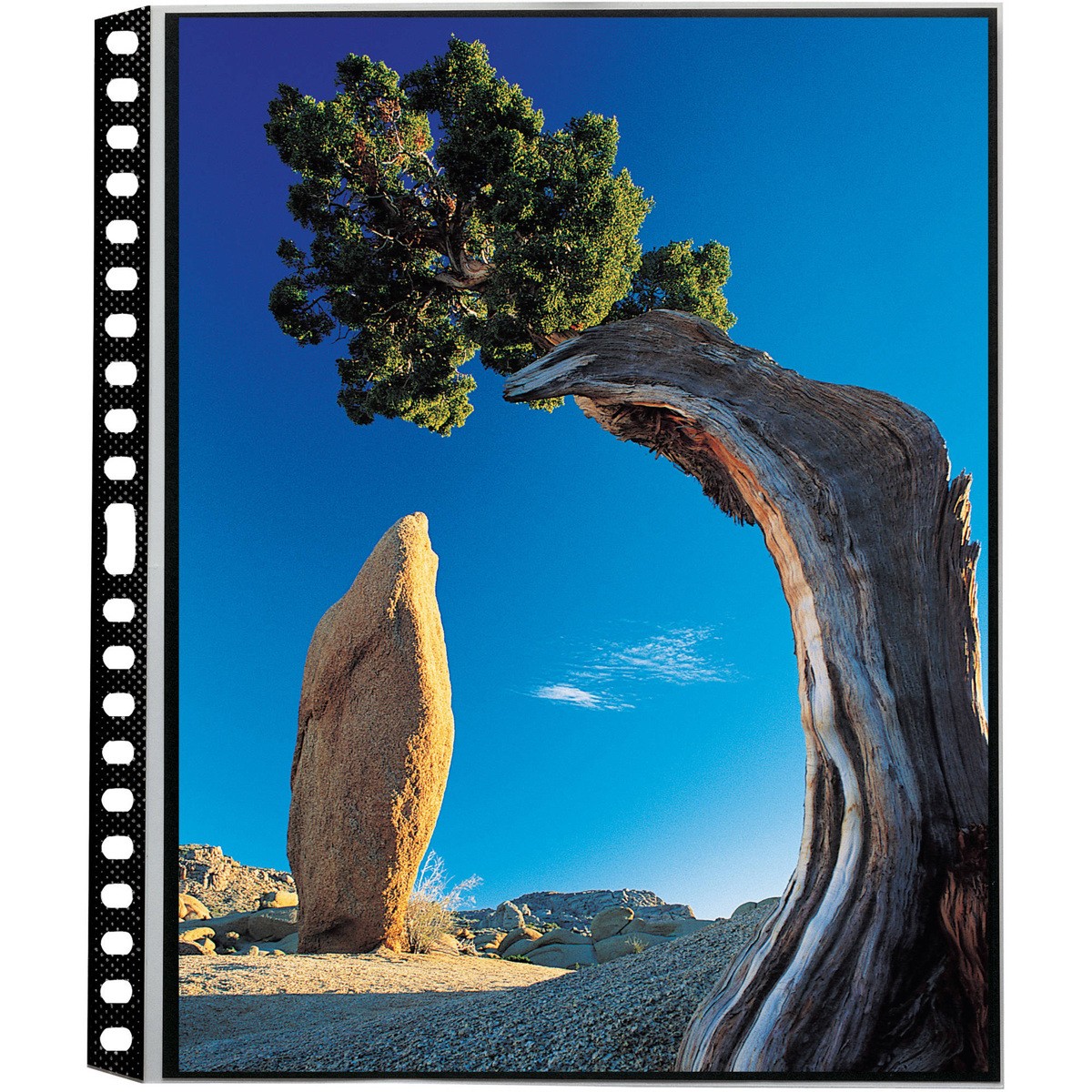 Itoya Art Profolio 18x24" Crystal Clear PolyGlass Pages, 10 Pages Per Pack