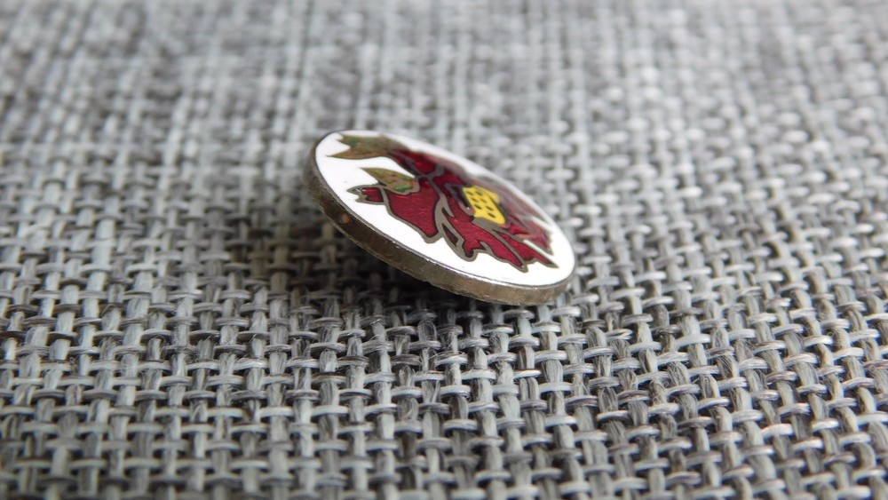 Antique VtgEnamel Button Aprx: 5/8" #917-D