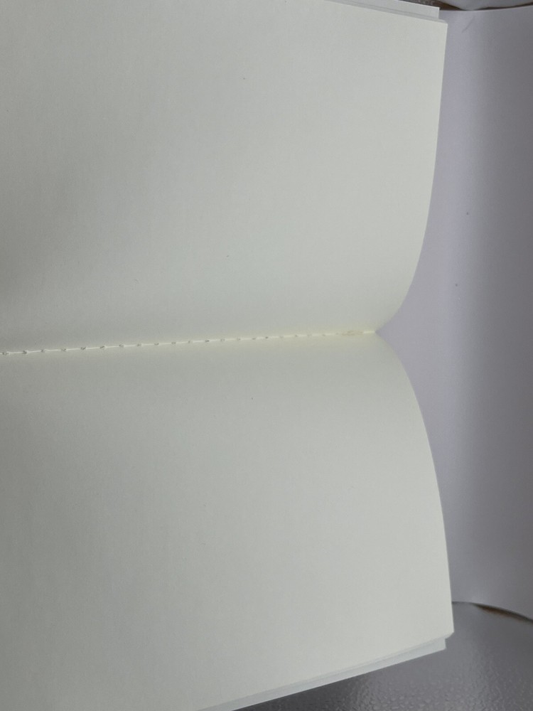 Juneteenth Freedom Blank Page Notebook