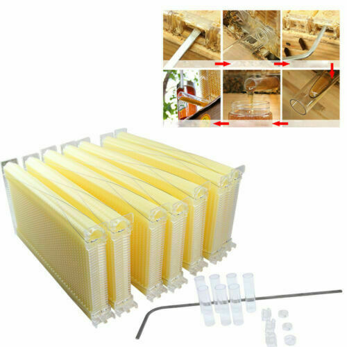 7Pcs Auto Honey Beekeeping Comb Beehive Frames Bee Hive Frames For Beehive Box