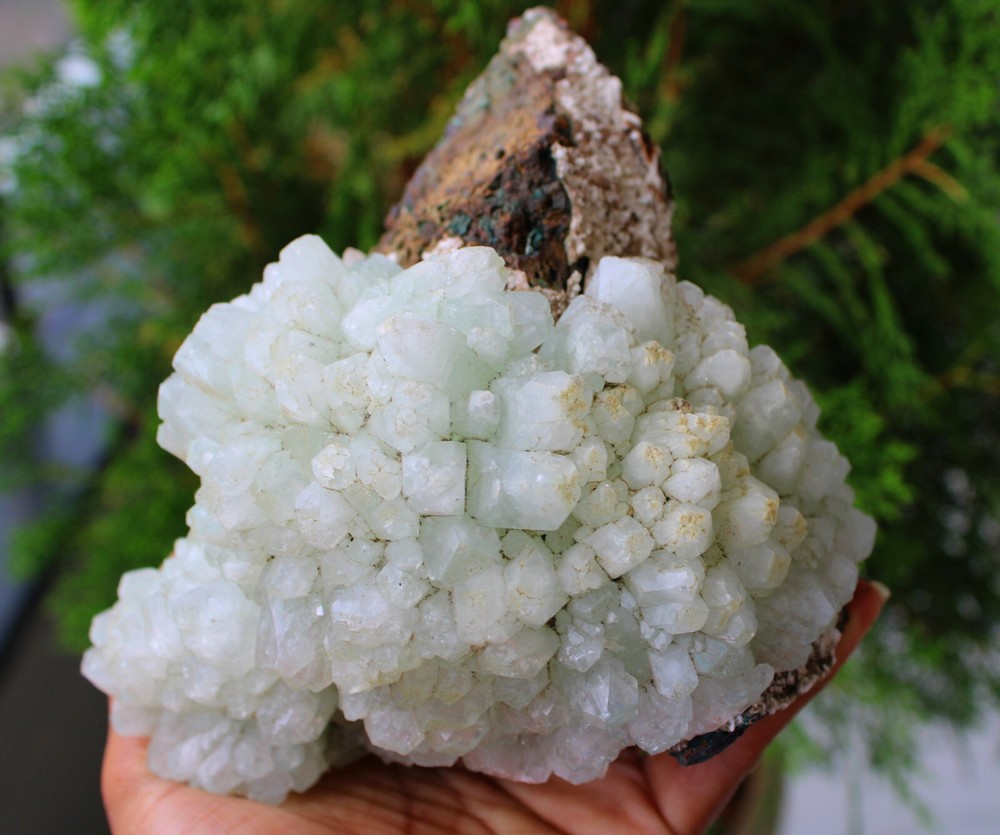 Green Apophyllite Crystals Format On Matrix Minerals Specimen