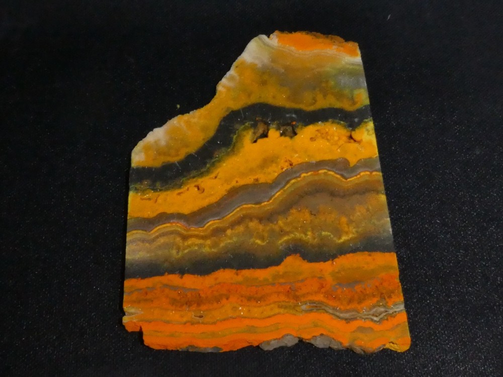 Bumblebee Jasper( slab 5" x 3 3/8"-- rough-cabbing--display