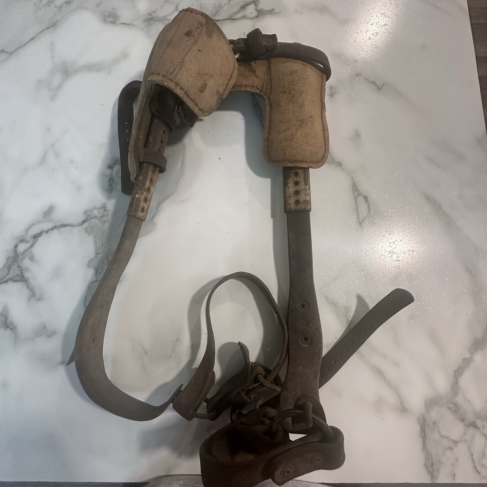 Vintage/Antique Tree Pole Climbing Spikes
