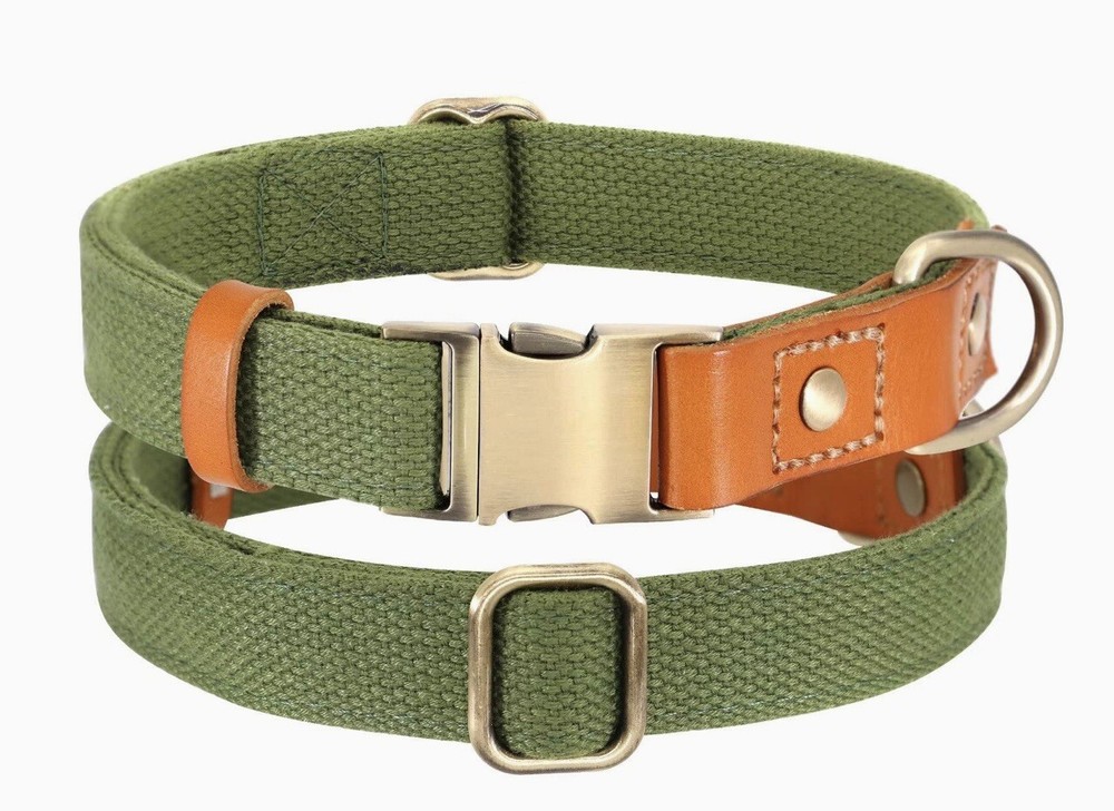 NWOT … DIDOG Durable / Adjustable “Size: M” Dog Collar