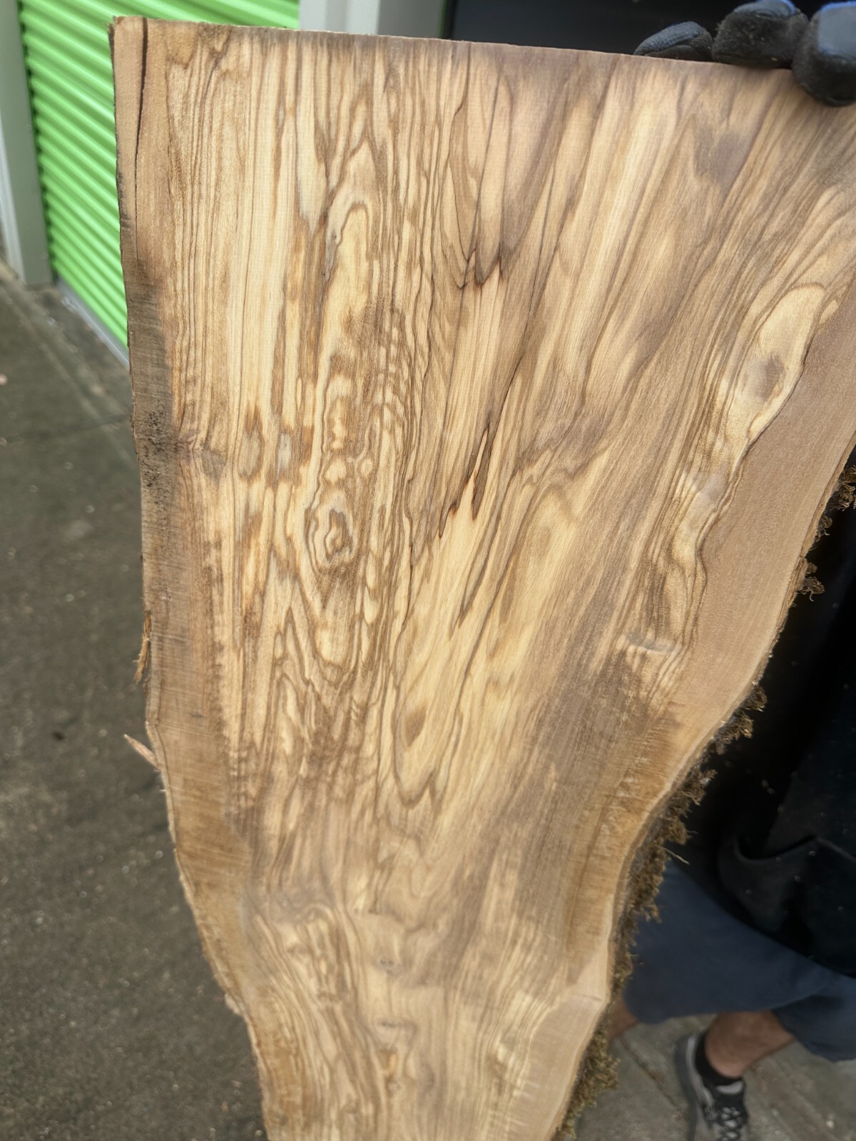 Italian Olive Wood Olivewood Kiln Dried, THE charcuterie board wood!