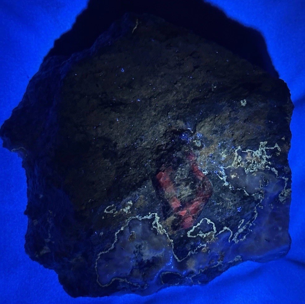 Rare Benitoite Cabinet Size Specimen