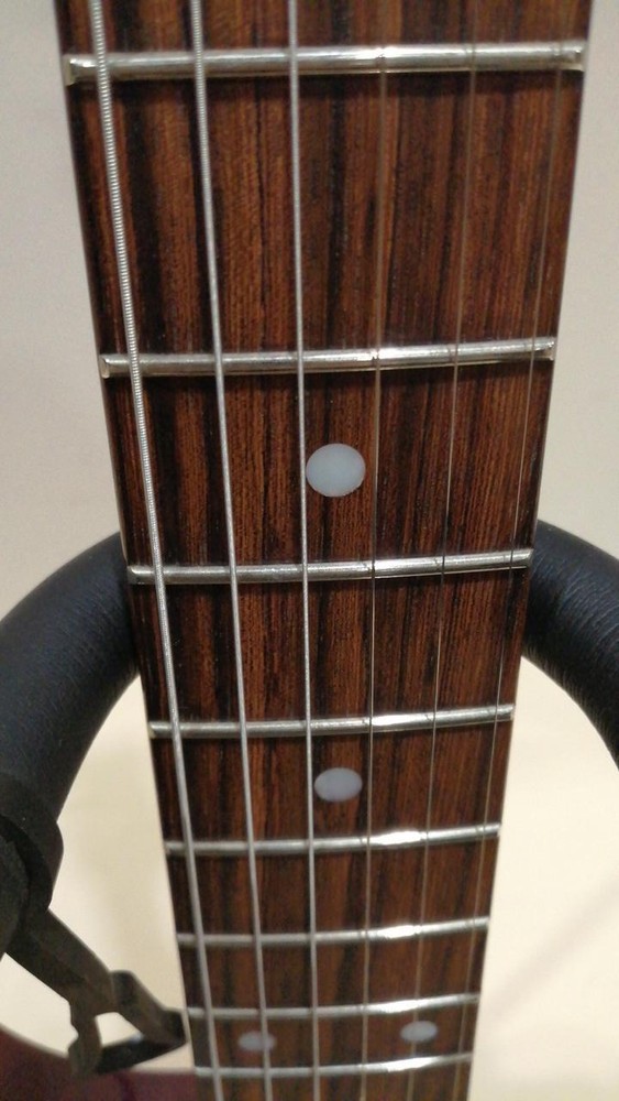 SCHECTER RJ-1-24-TOM Electric Guitar-01