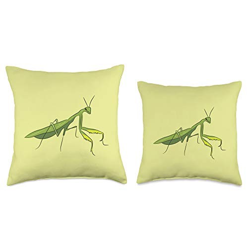 Praying Mantis Insect Grasshopper Praying Mantis Throw Pillow 18x18