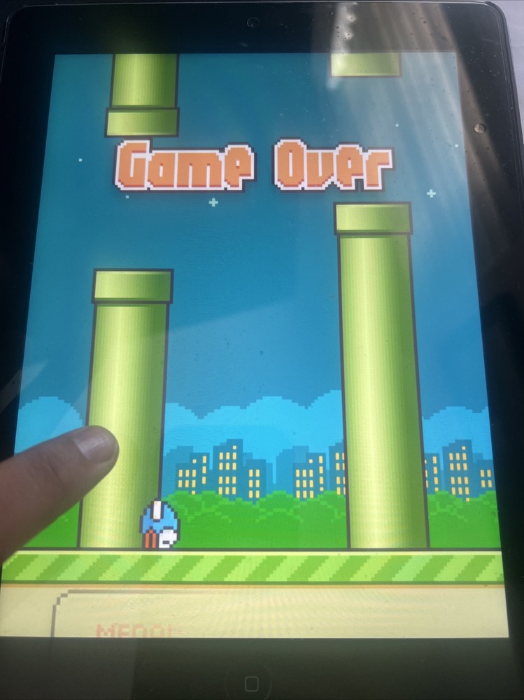 IPAD 16GB Original Flap bird