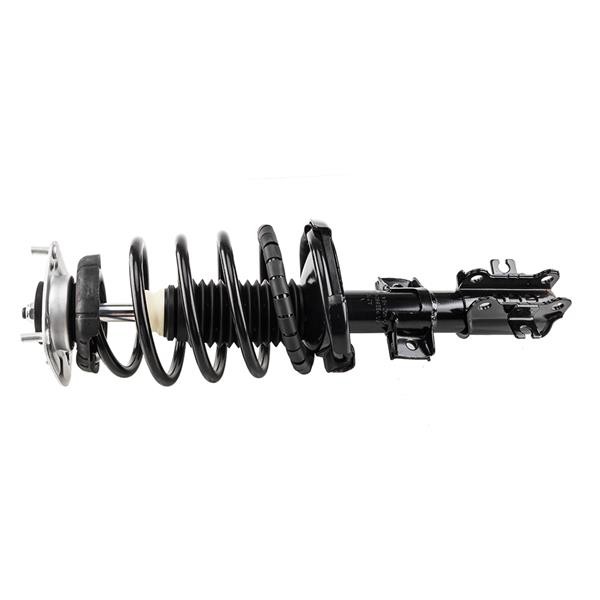 complete strut assembly