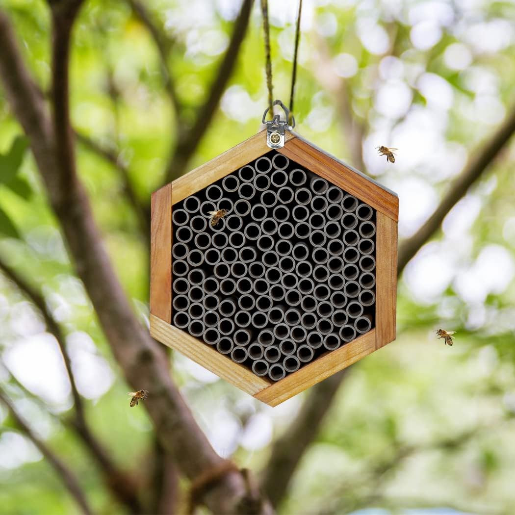 Mason Bee House - Handmade Natural Wooden Bee Hive Coated with Wax for Water-Pro