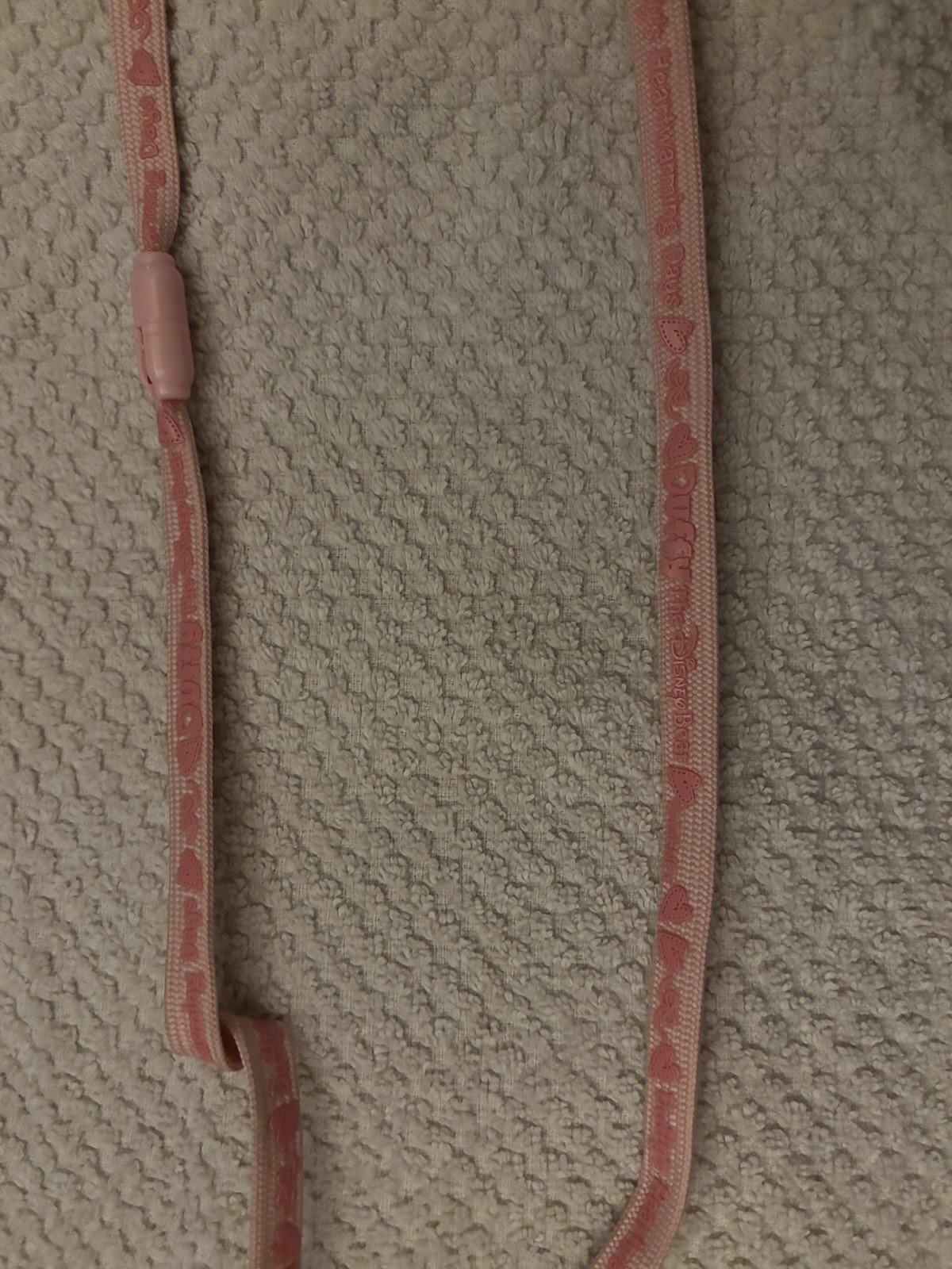 Disney Sea Duffy Heart Warming Days shoulder bag Pass Case Coin Case Pink Tokyo