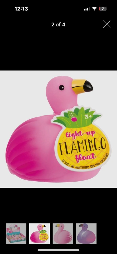 Light up flamingo float, bath toy