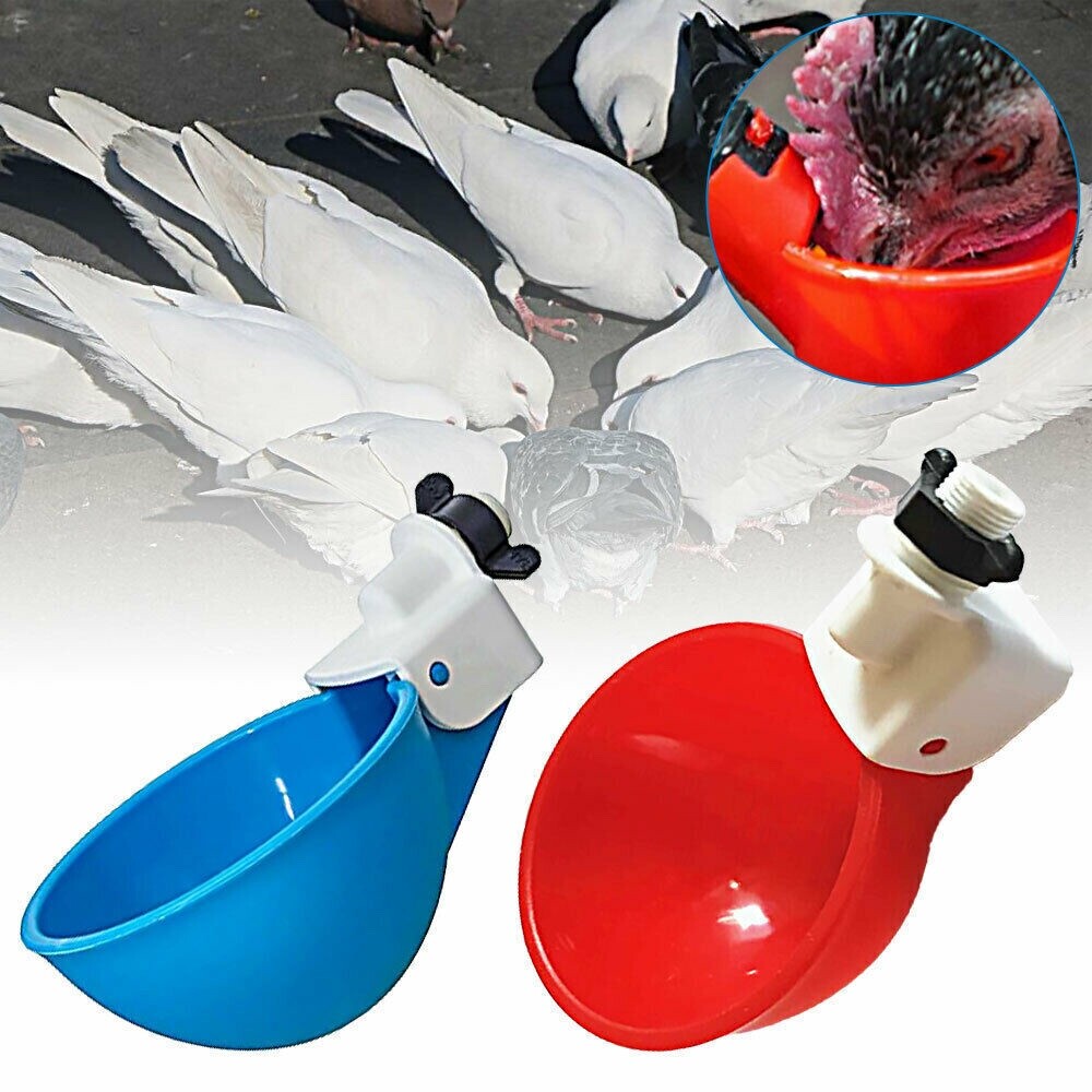 20 PCS Automatic Water Cups Poultry Drinker Waterer Chicken Ducks Quail Drinking