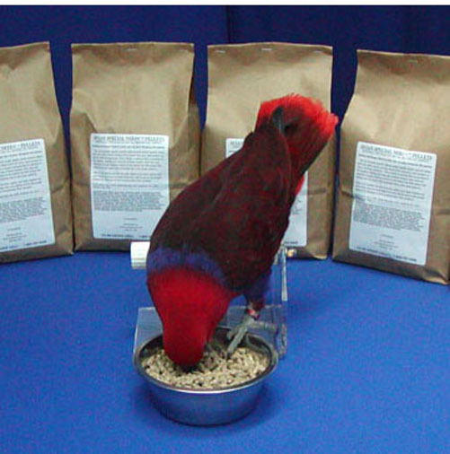 TOP's Parrot Pellet Food 3 lb ORGANIC avian nutritious bird diet No Salt / Sugar