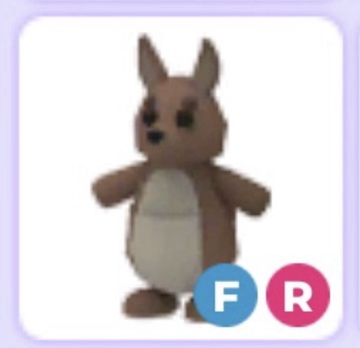 Fly Ride FR Kangaroo ❤️ Cheap ❤️ Virtual Pet