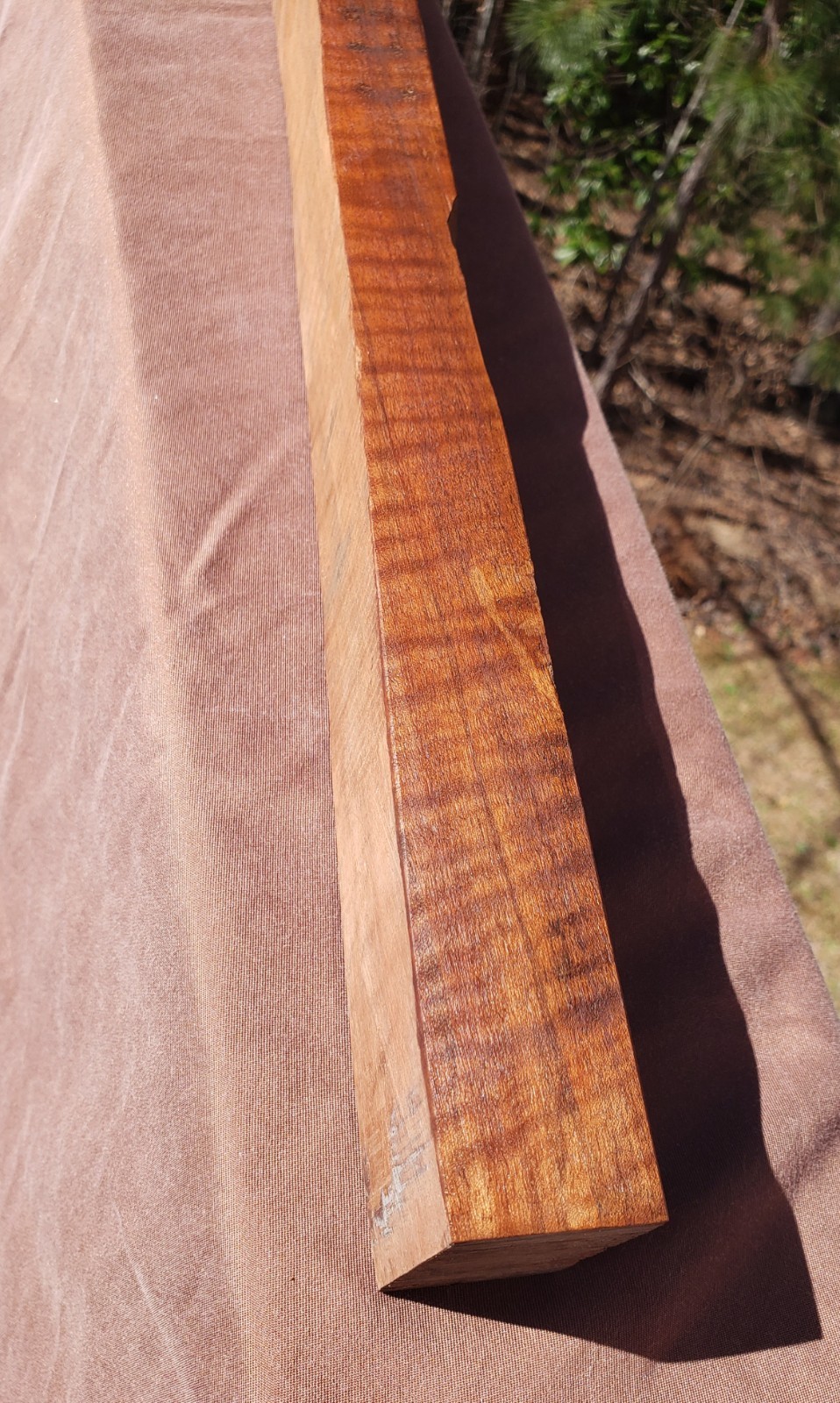 🔥 HIGHLY FIGURED CURLY TIGER CLARO WALNUT MUZZLELOADER RIFLE HAWKEN STOCK Blank