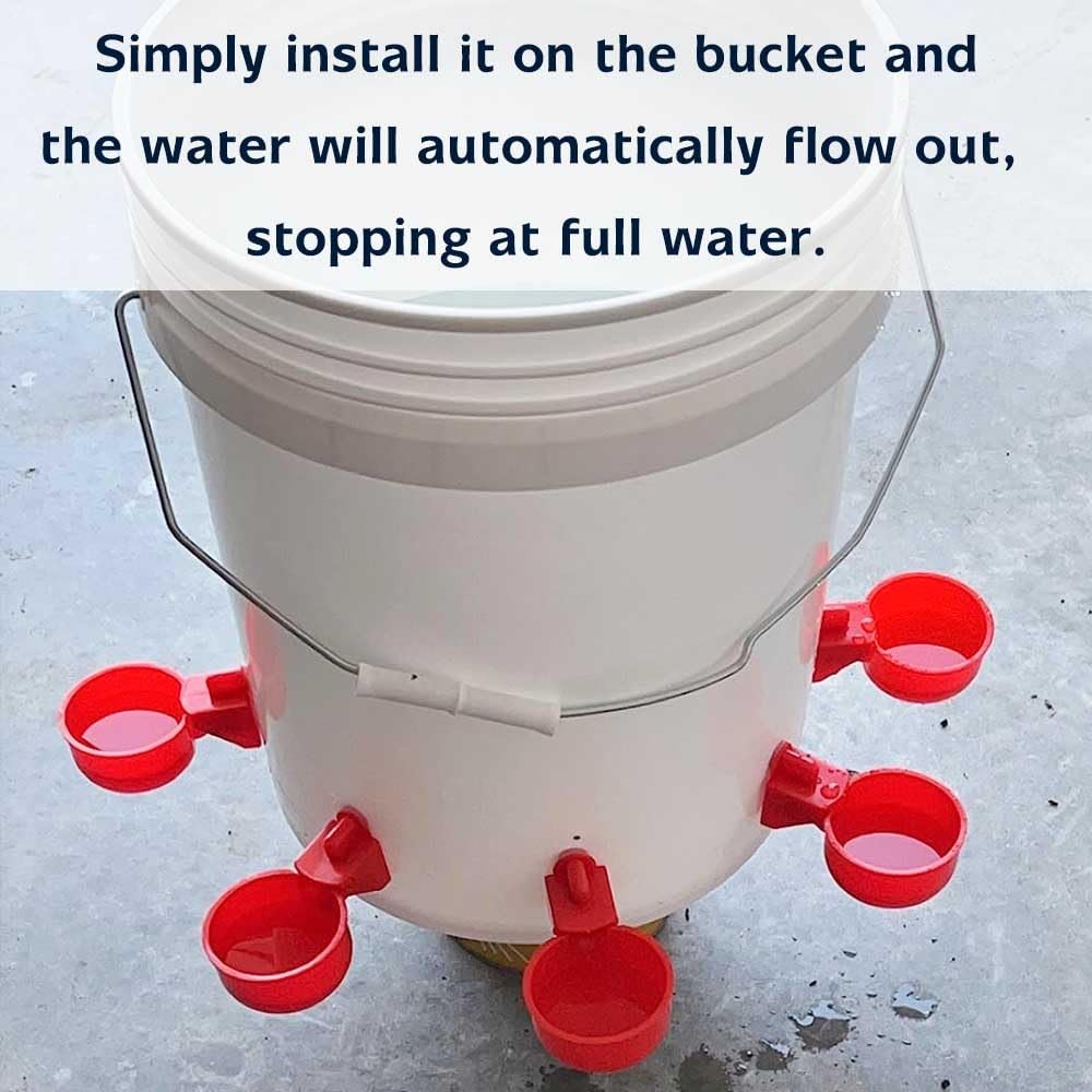 Large Automatic Chicken Waterer Cups, 6pcs Turkey Feeder Red Light