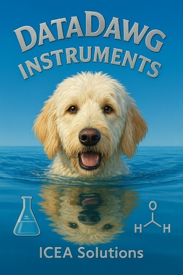 Chlorine Sensor 4-20mA / Amperometric / DCS4MA5 / CS4MA5 / A