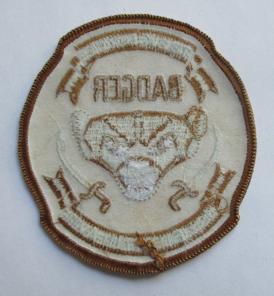 US ARMY 1st BN 147th AVIATION TASK FORCE BADGER PATCH Original