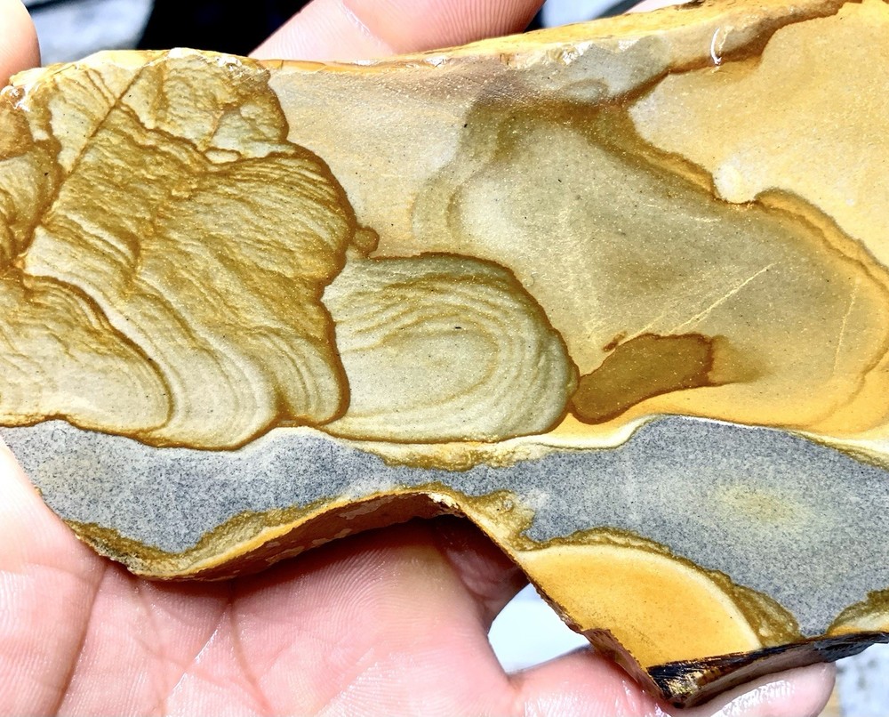 Disaster Peak Picture Jasper Slab