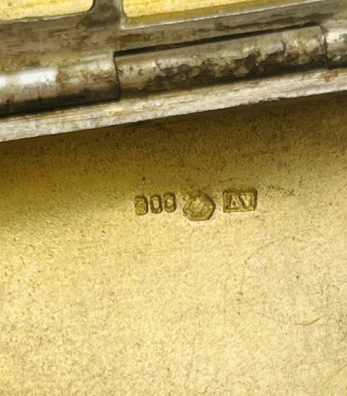 Antique Austrian Sterling Silver Enamel Nude Lady Cigarette Card Case