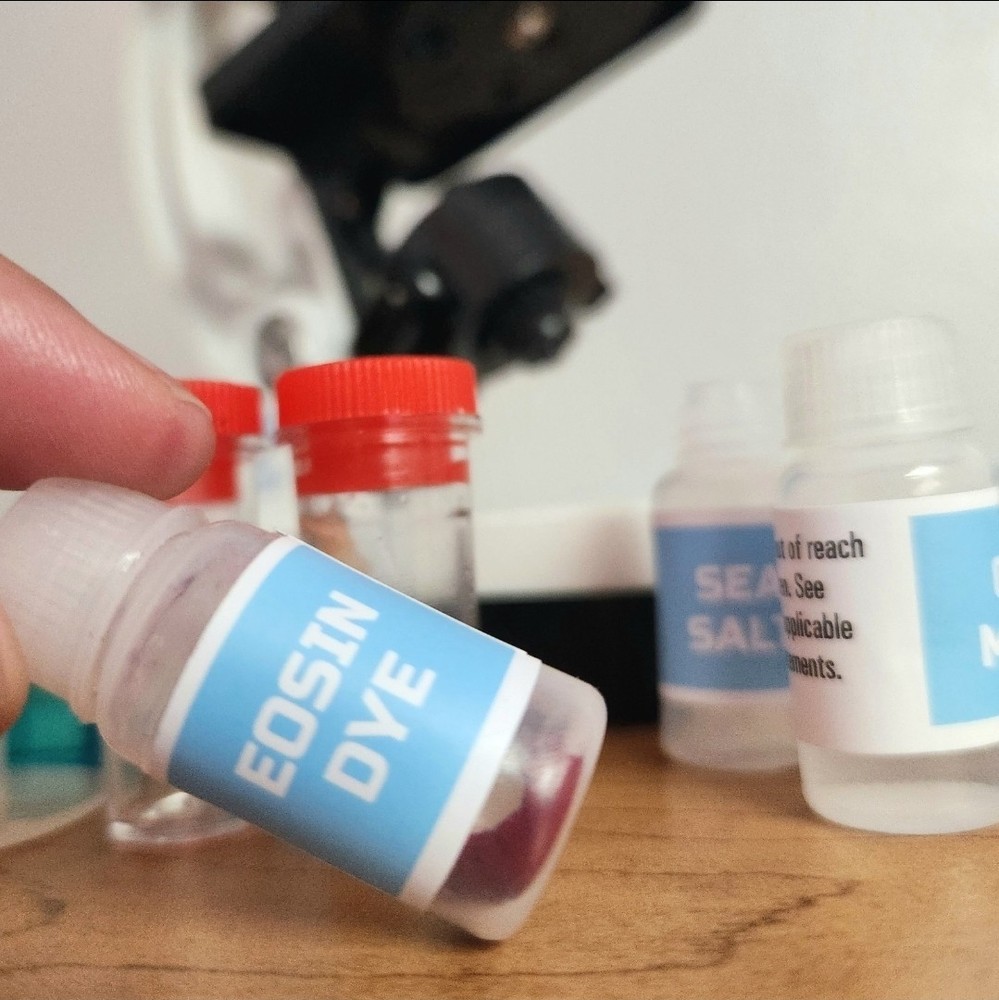 Discovery #Mindblown Microscope Set STEM Activity Slides Test Tubes Tools Pietri