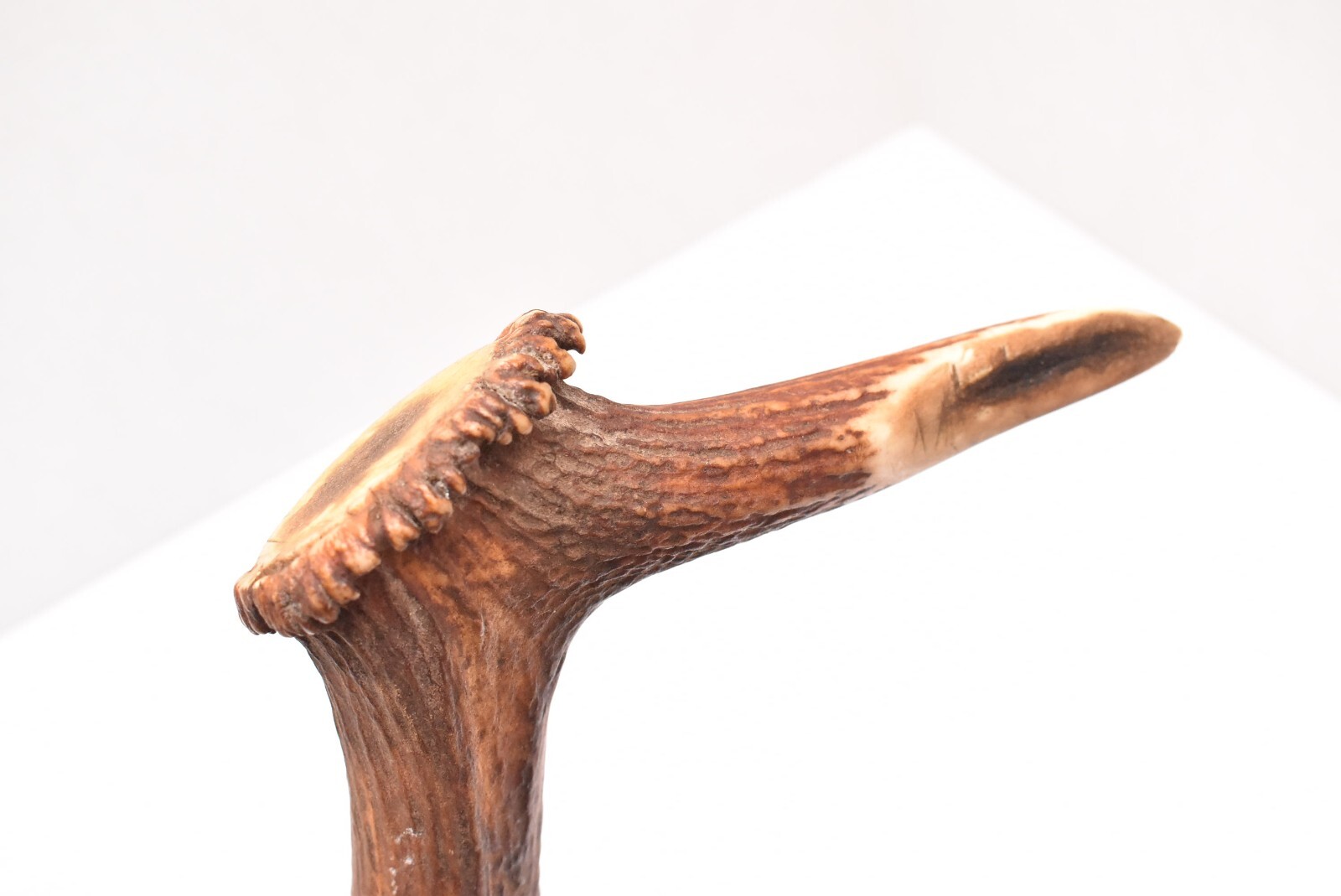 Antique Native American Indian Plains carved ANTLER war club Axe Weapon.