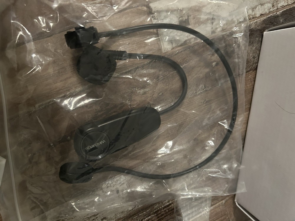 WinBridge: Voice Amplifier Wireless Microphone, 20W Portable PA System