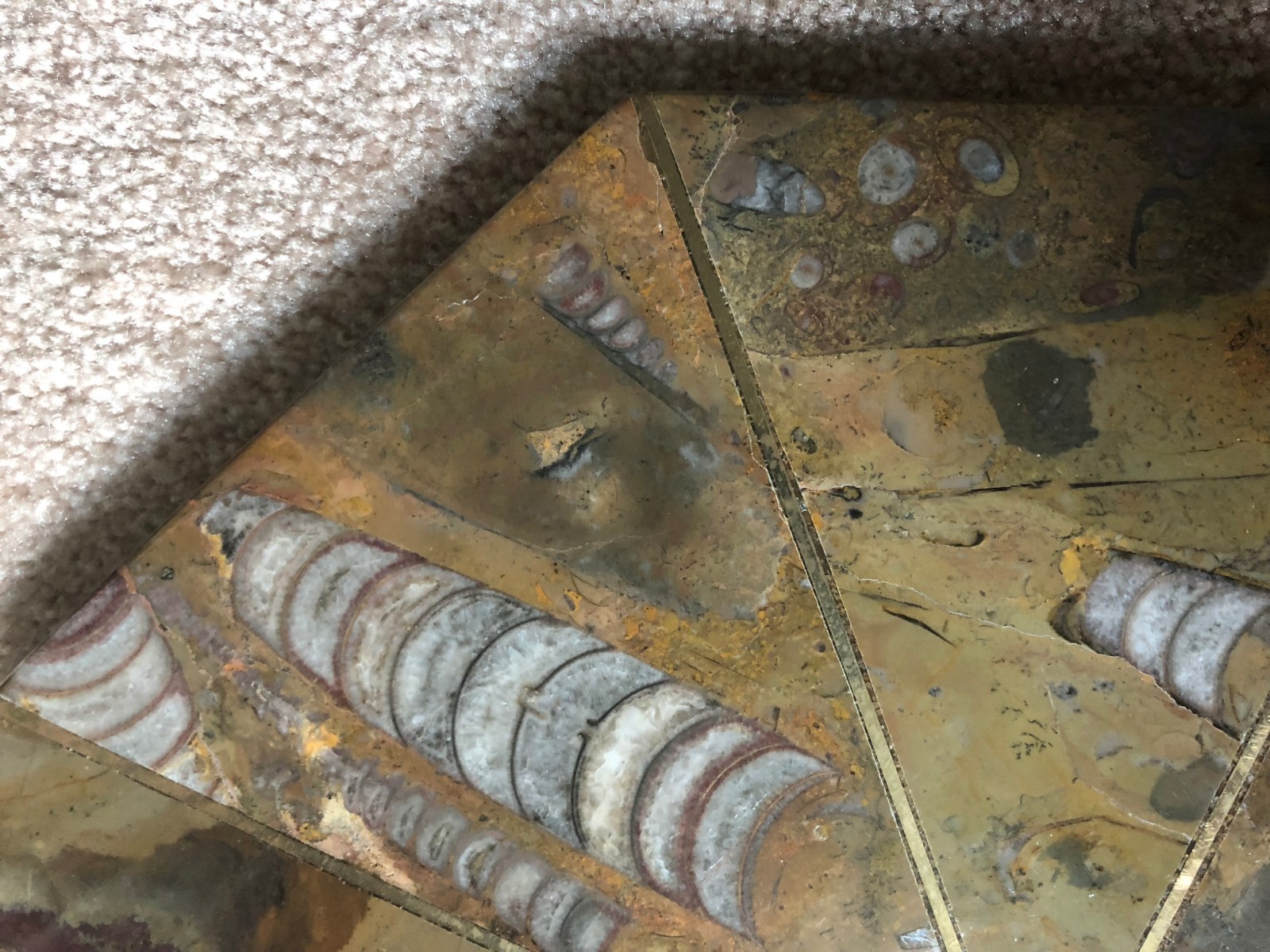 Ammonite Orthoceras Fossil Table Top Tabletop Nightstand 12-1/4" Inlay plate