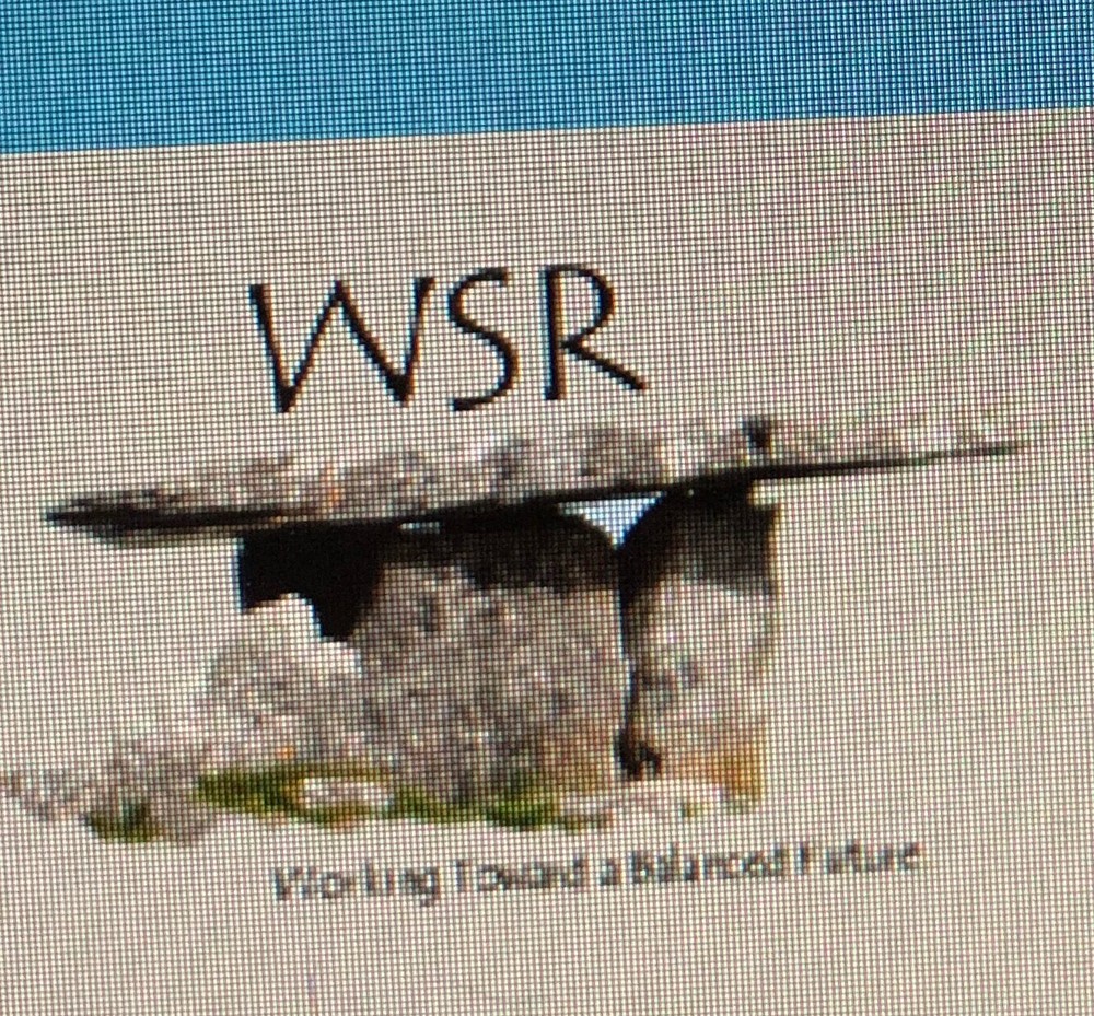 WSR Balance Test Equipment