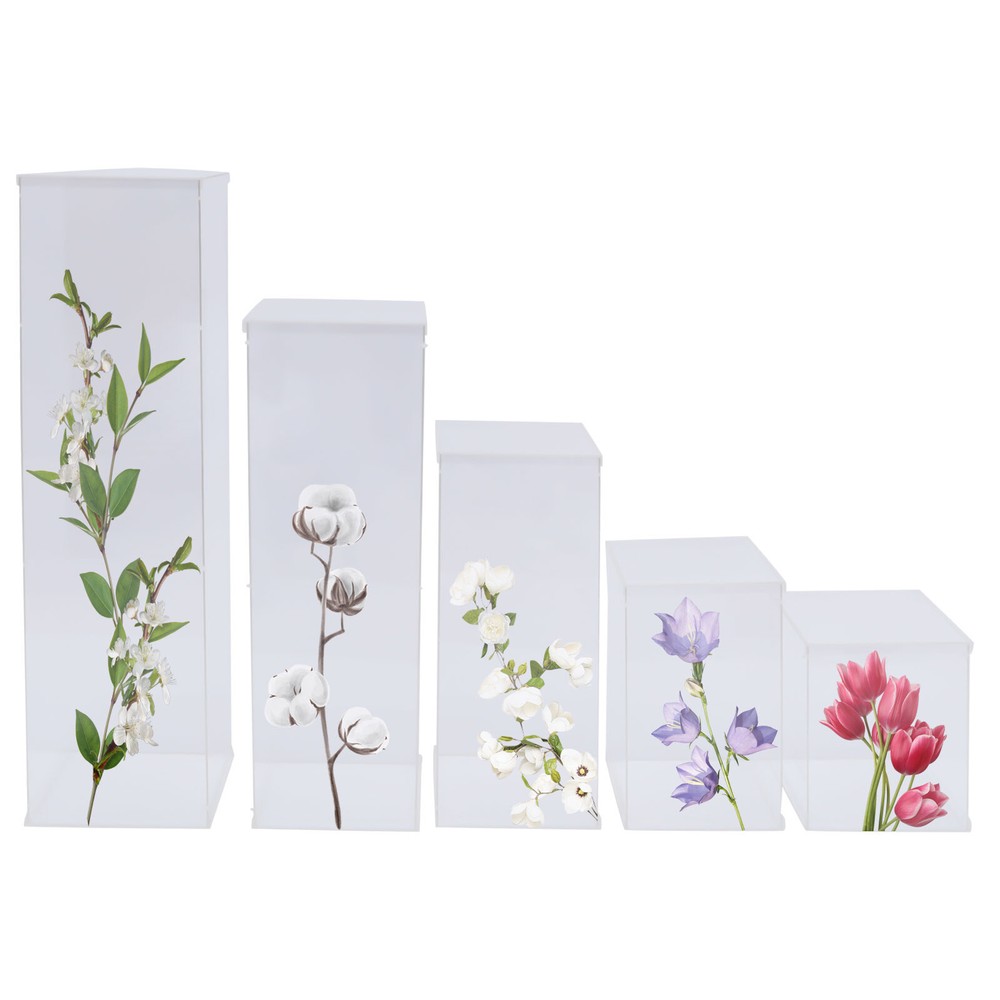 Acrylic Display Box Rectangular Floral Display Box Freestanding New 5 Pieces