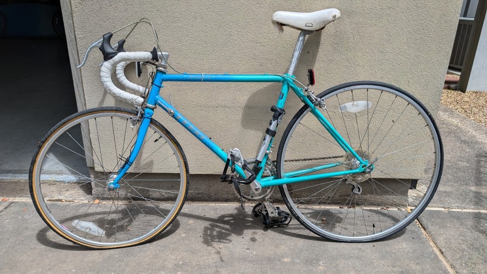 1986 Georgena Terry Despatch