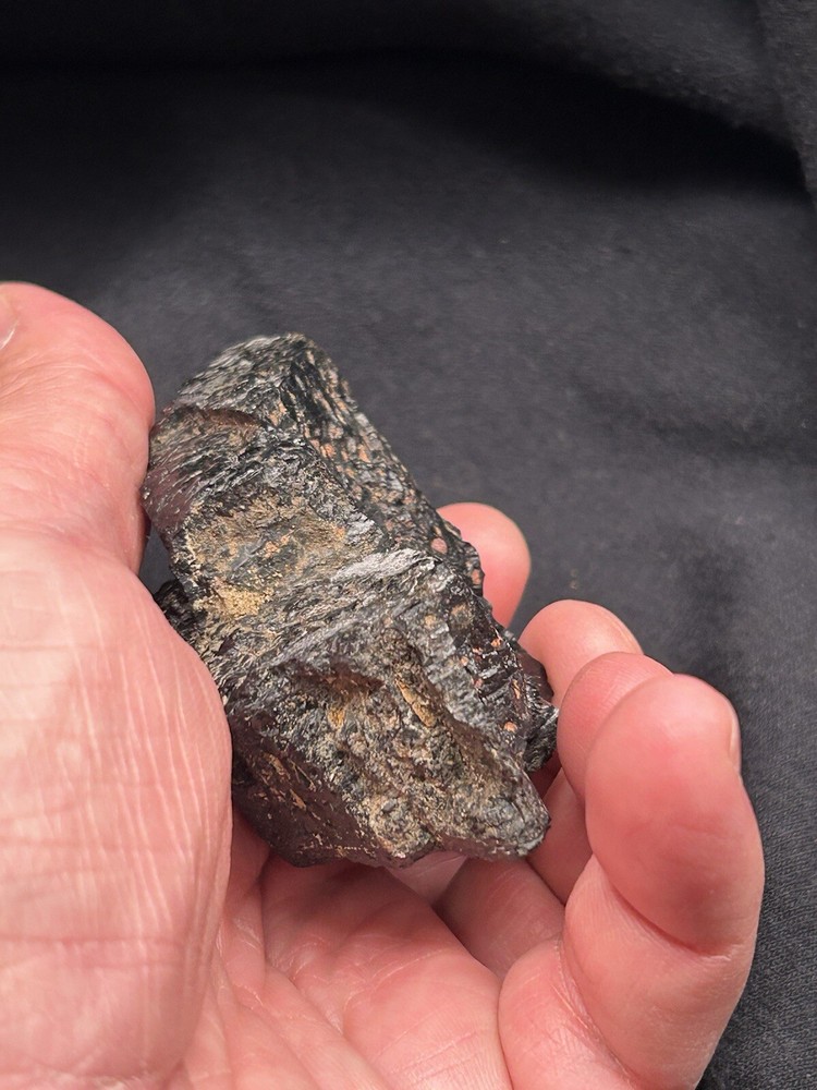 Lower Eagle Ford Cretaceous Coal Zone- Carbonized Dinosaur Age Material, Texas