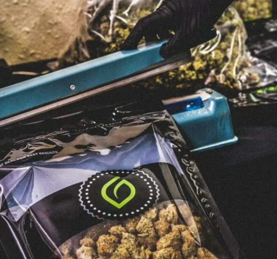 Grove Bags - TerpLoc Technology ~ Half Pound 1/2 Lb Bag - 8 Oz. ( pack of 5 )